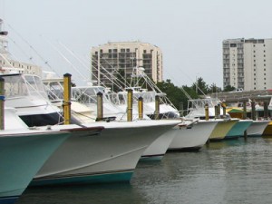 virginia fishing charter boats