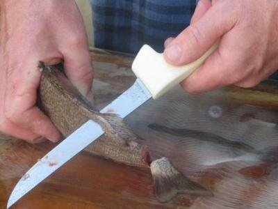 fin-removal how to clean spot