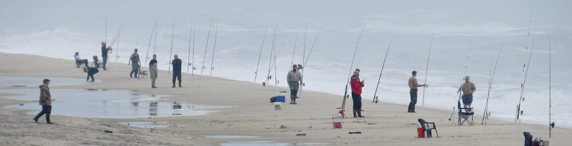 surf fishing