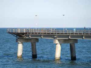 sea gull pier chesapeake bay bridge tunnel